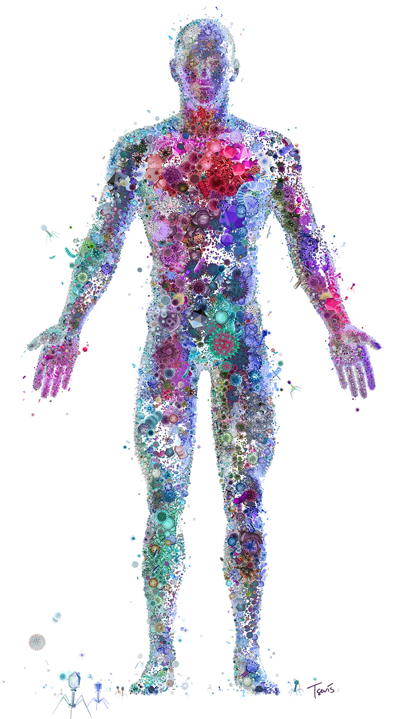 Body illustration