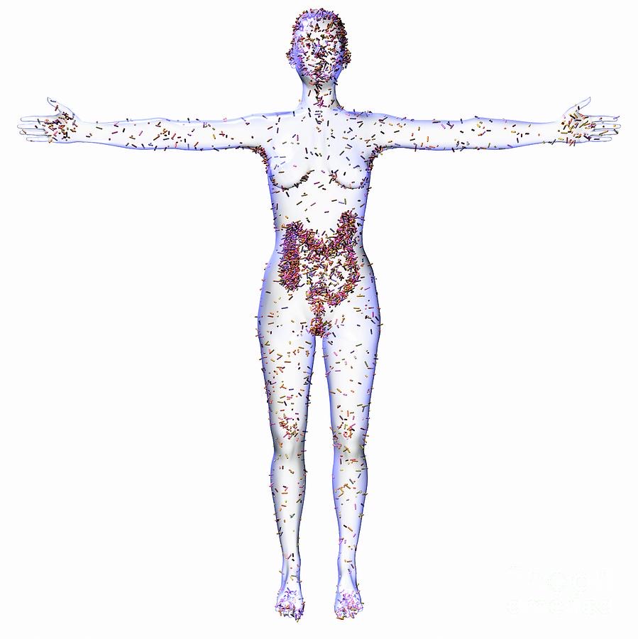 Human microbiome